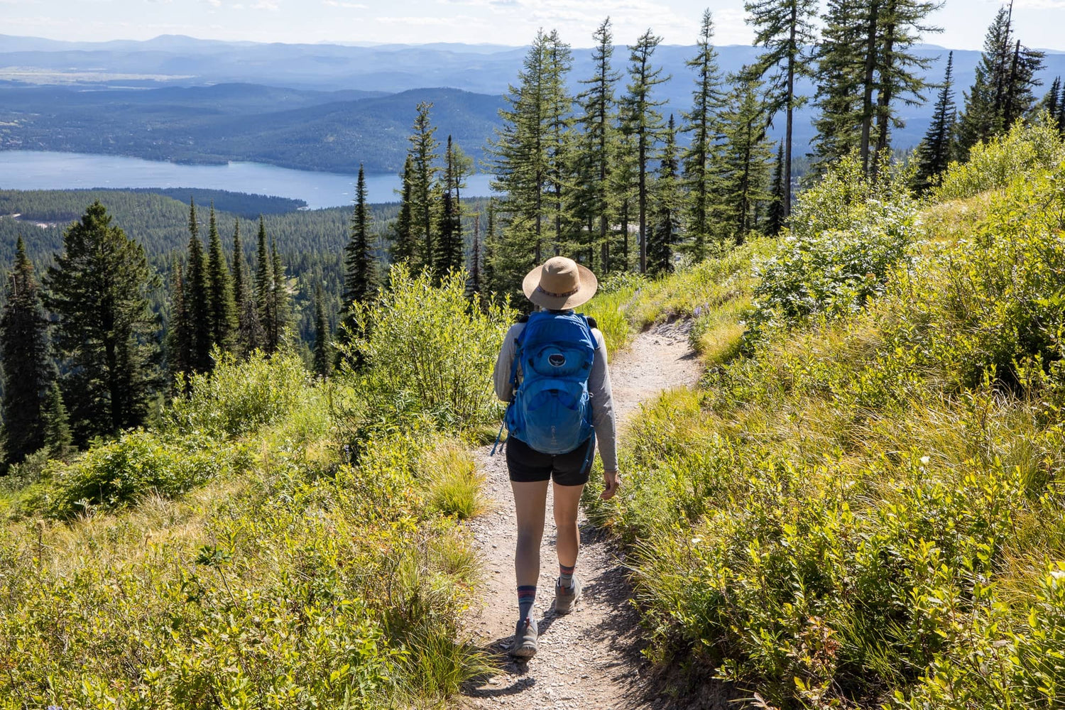 Hiking