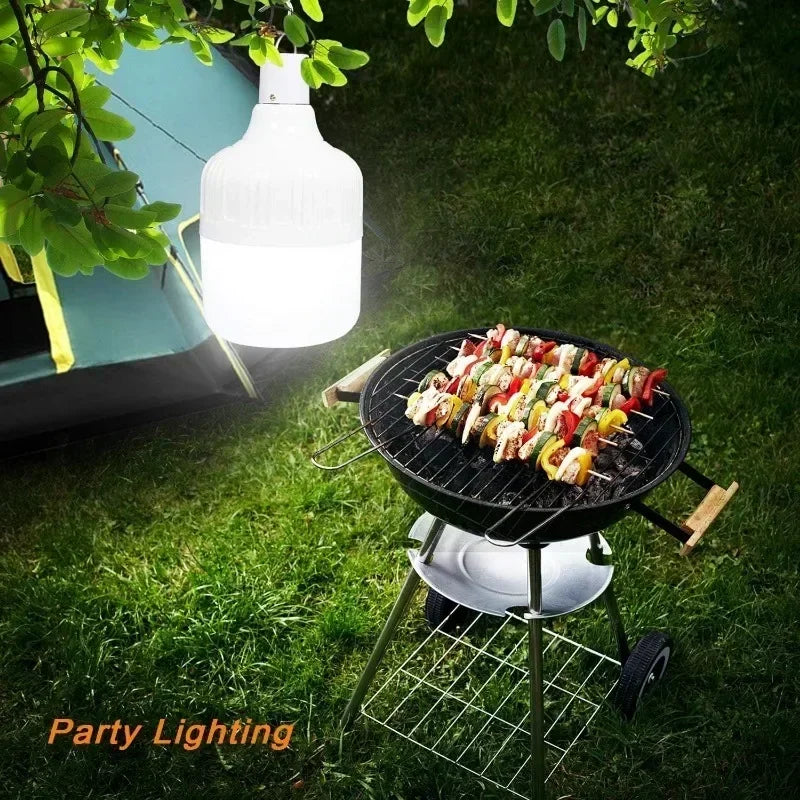 Portable Camping Lantern Light