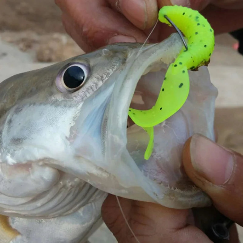 Worms Fishing Lures